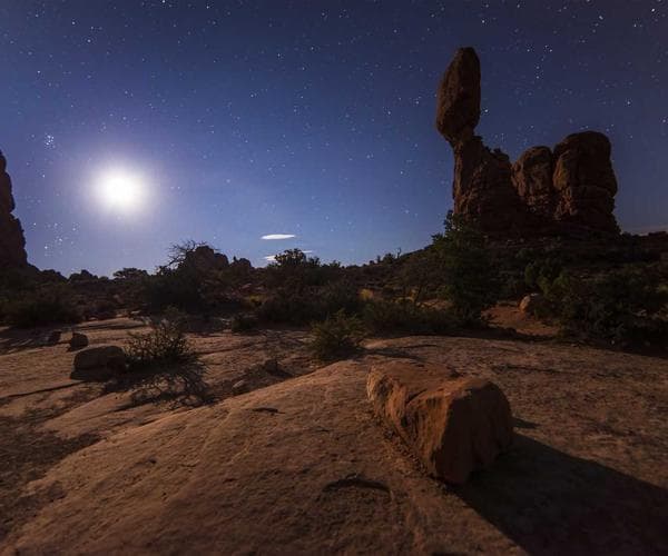 An expert trainer collaborating with a team in an office setting