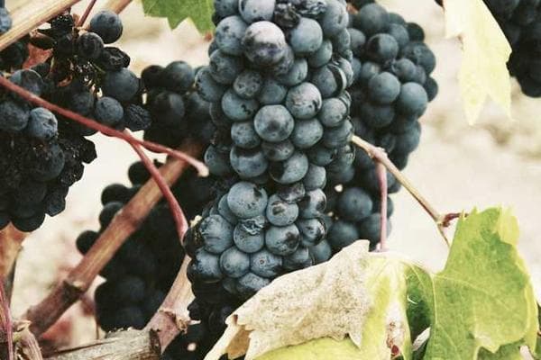 A quick-fire Q&A with an expert.