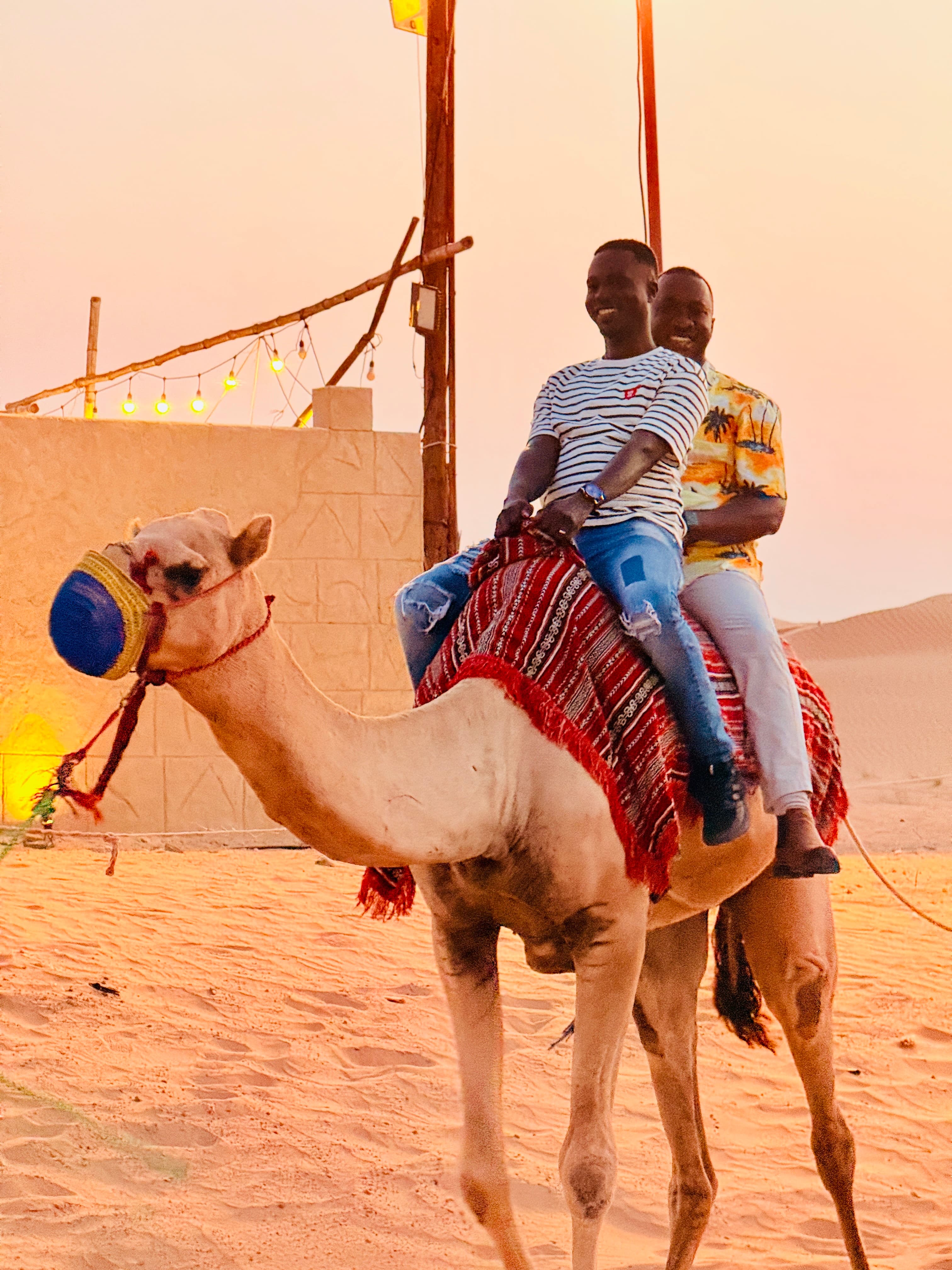 Study and Tour: Dubai image 7